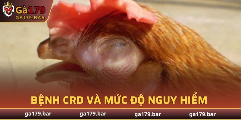 Bệnh CRD