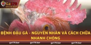 Bệnh Đậu Gà
