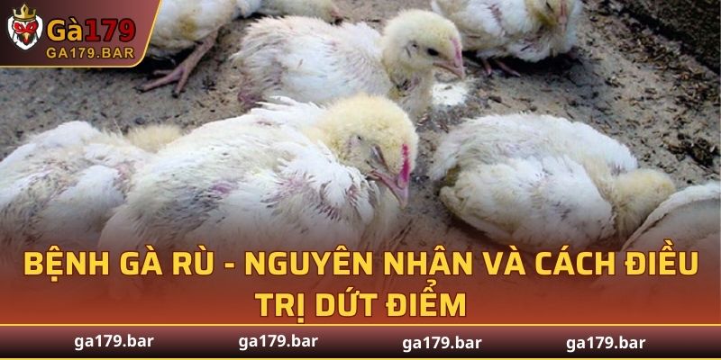 Bệnh Gà Rù