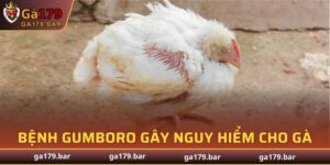 Bệnh Gumboro