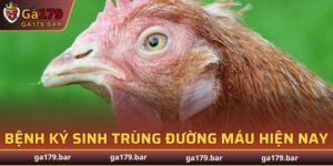 Bệnh Ký Sinh Trùng Đường Máu