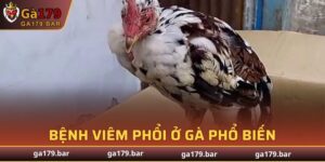 Bệnh Viêm Phổi Ở Gà