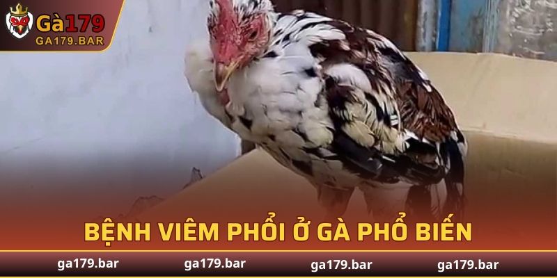 Bệnh Viêm Phổi Ở Gà