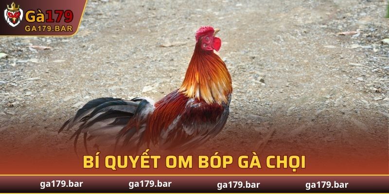 Bí Quyết Om Bóp Gà Chọi