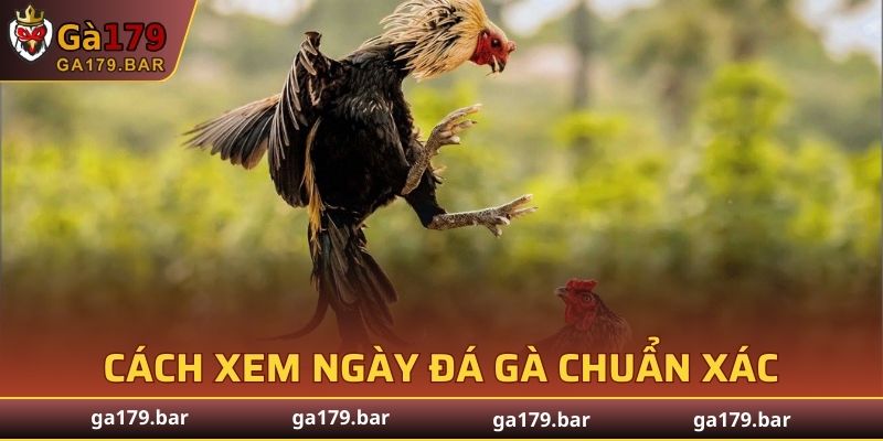 Cách Xem Ngày Đá Gà