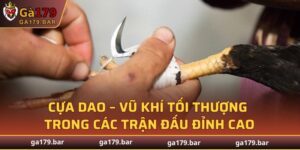 Cựa Dao