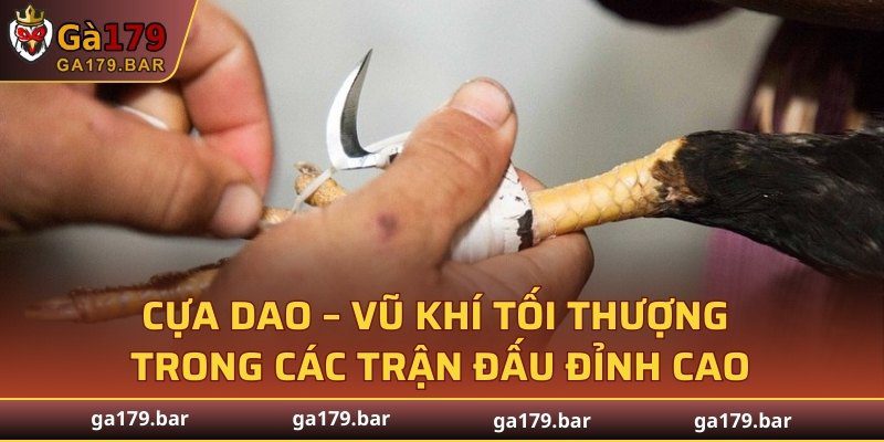 Cựa Dao