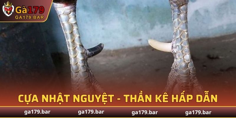 Cựa Nhật Nguyệt