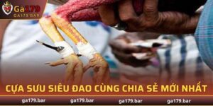 Cựa Sưu Siêu Đao