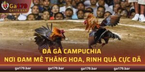 Đá Gà Campuchia