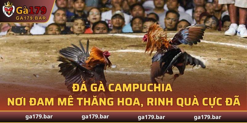 Đá Gà Campuchia