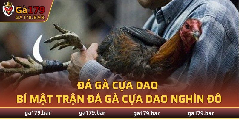 Đá Gà Cựa Dao