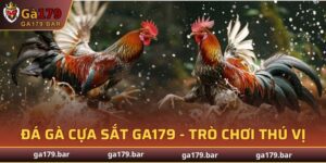 Đá Gà Cựa Sắt