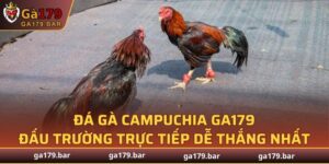 Gà Campuchia