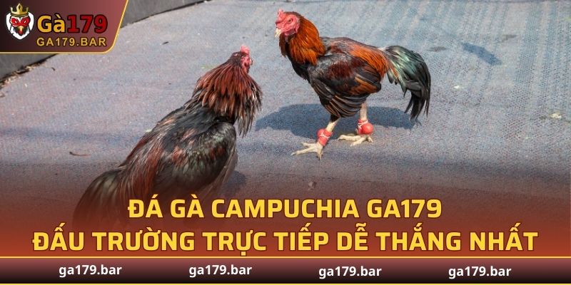 Gà Campuchia