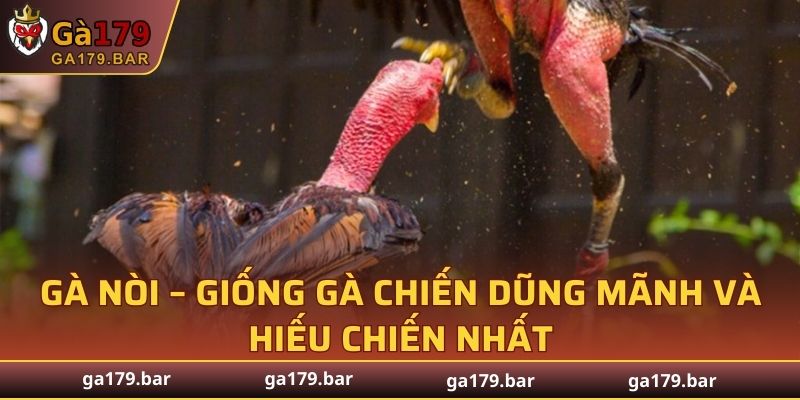 Gà Nòi