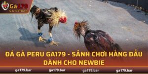 Gà Peru