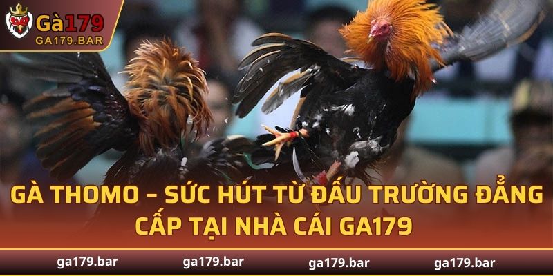 Gà Thomo