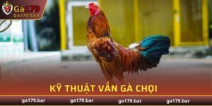 Kỹ Thuật Vần Gà Chọi