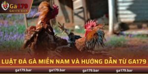 Luật Đá Gà Miền Nam