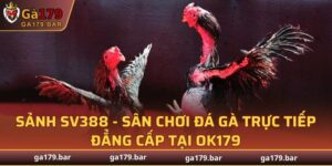 Sảnh SV388