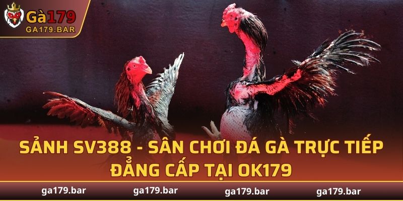 Sảnh SV388