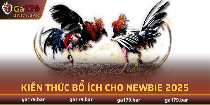 Tiếng Lóng Trong Đá Gà
