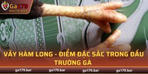 Vảy Hàm Long