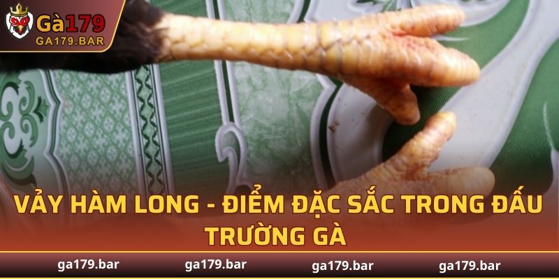 Vảy Hàm Long