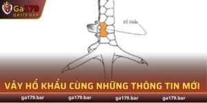 Vảy Hổ Khẩu