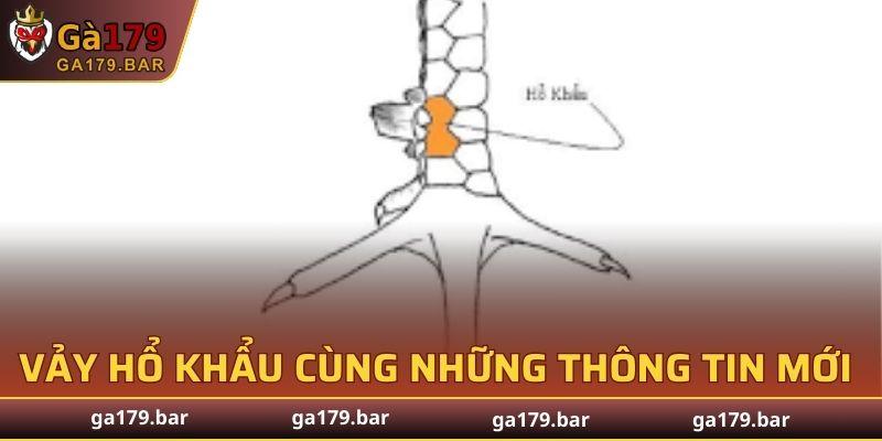 Vảy Hổ Khẩu