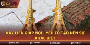 Vảy Liên Giáp Nội